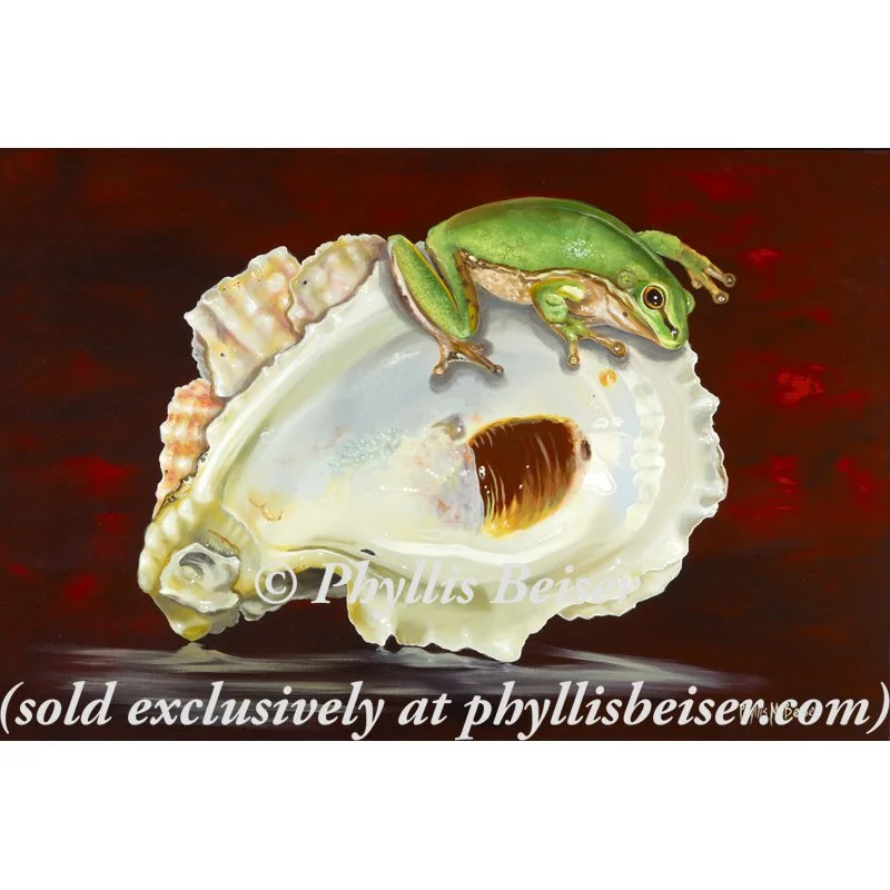 Keeper Of The Shells