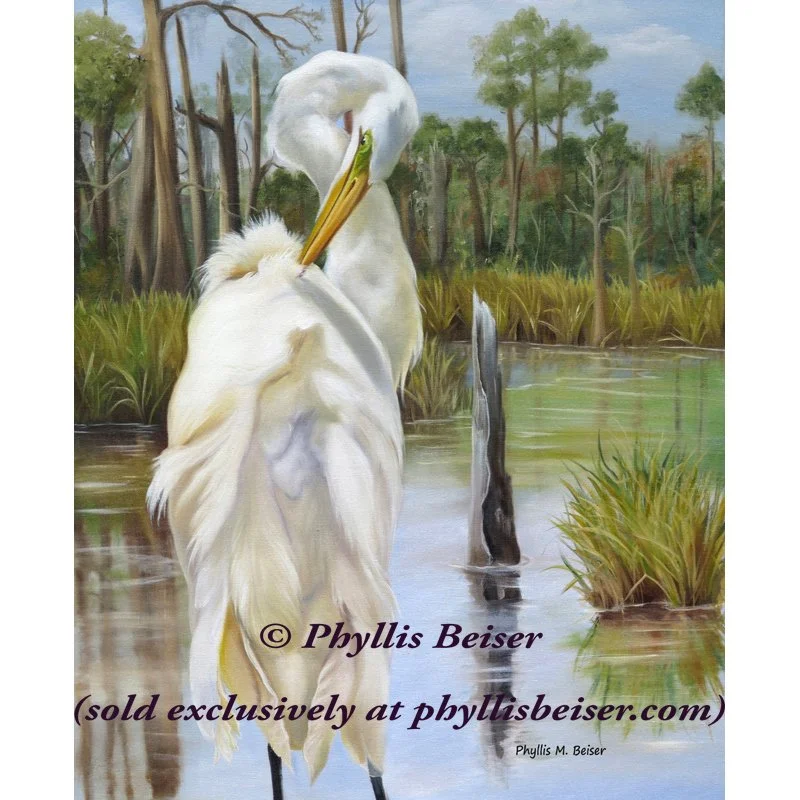 Bayou Coco Point Egret