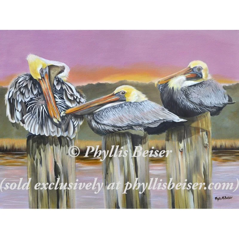 Lazy Pelicans In Color (ORIGINAL)