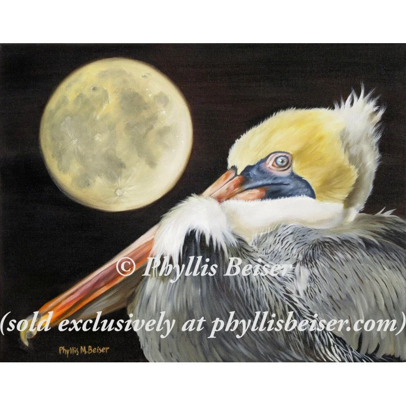 Moon Over Mississippi Pelican