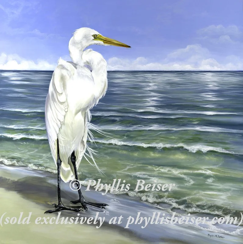 Blind Fish Pass Egret