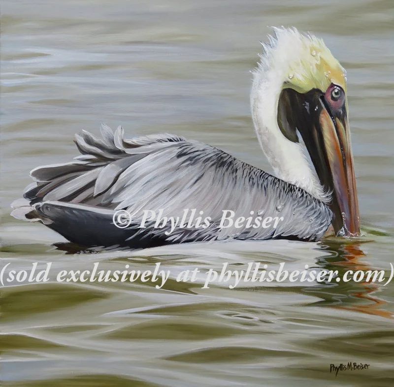 Safe Harbor Pelican  (CANVAS PRINT)