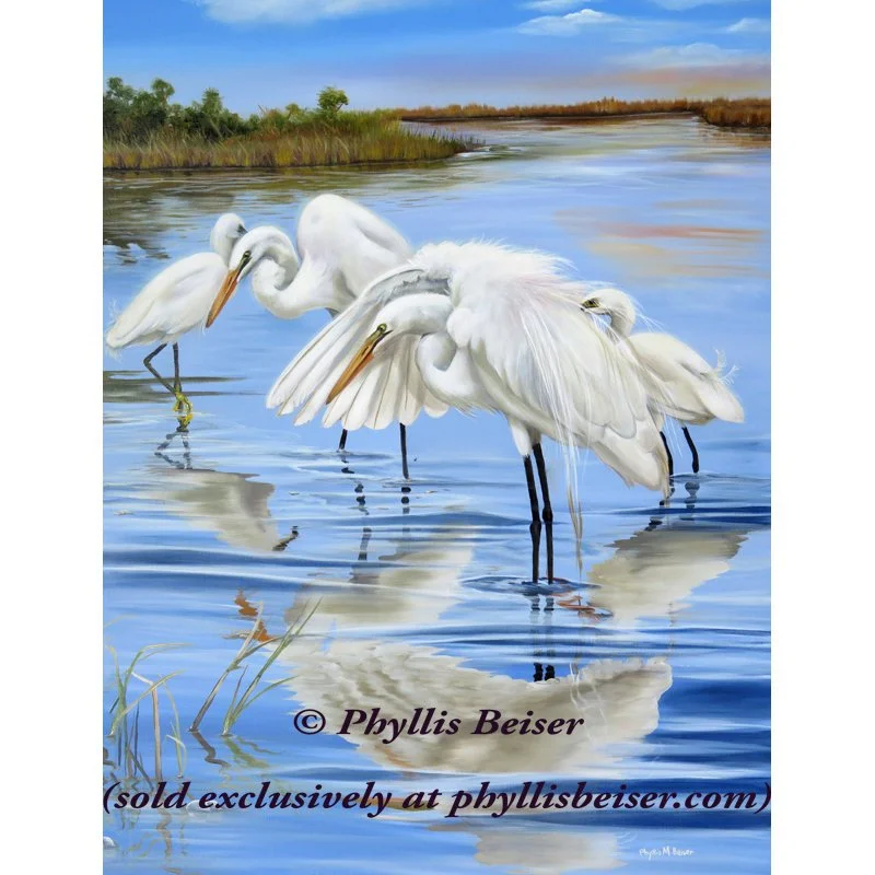 Marsh Whispers