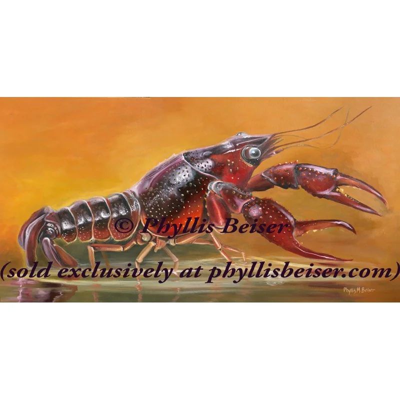 Ole Man From Da Bayou  (CANVAS PRINT)