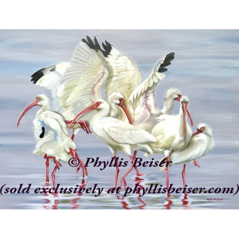 Ibis Flock  (CANVAS PRINT)