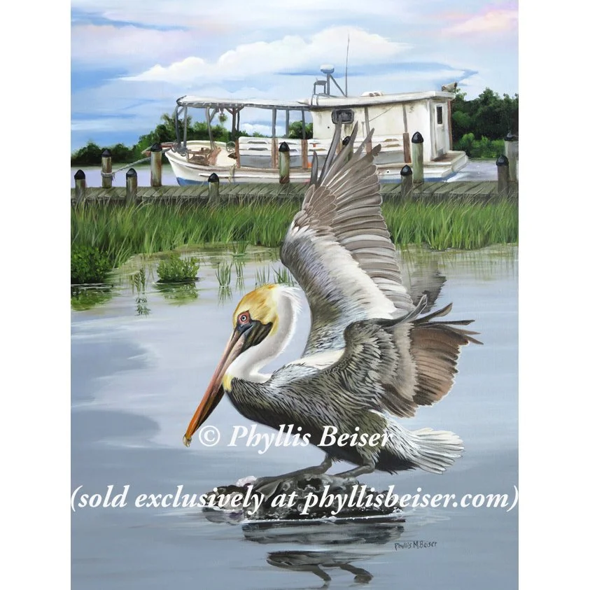 Pelican And Oyster Boat (CANVAS PRINT)
