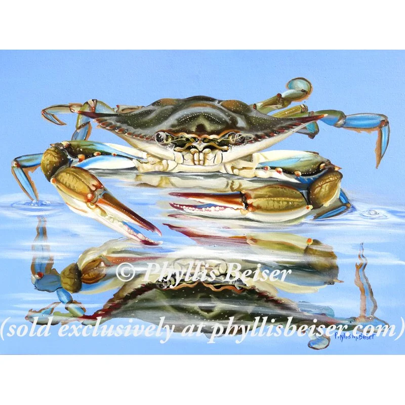 Touching Its Reflection