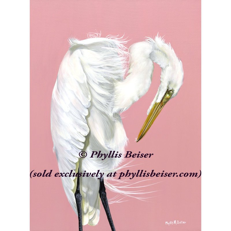 Egret On Pink (CANVAS PRINT)