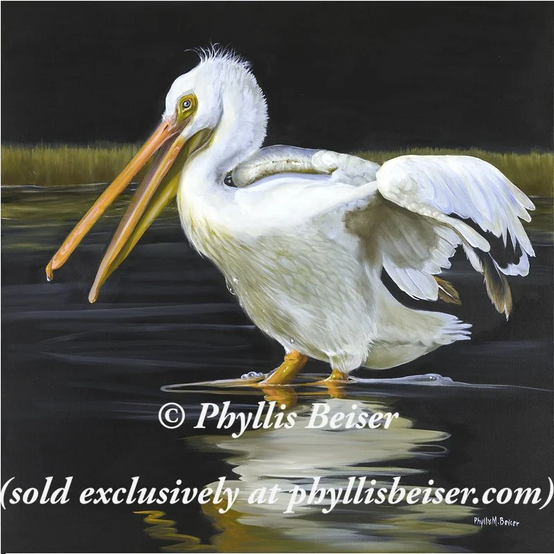 The Midnight Crooner