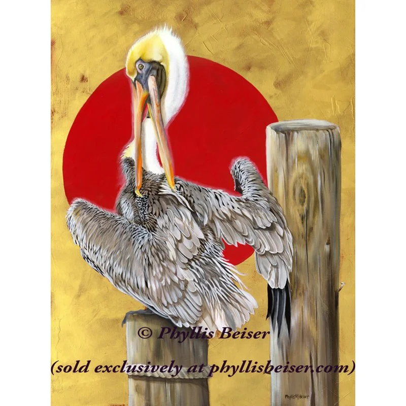 Jordon River Eclipse Pelican   (original)