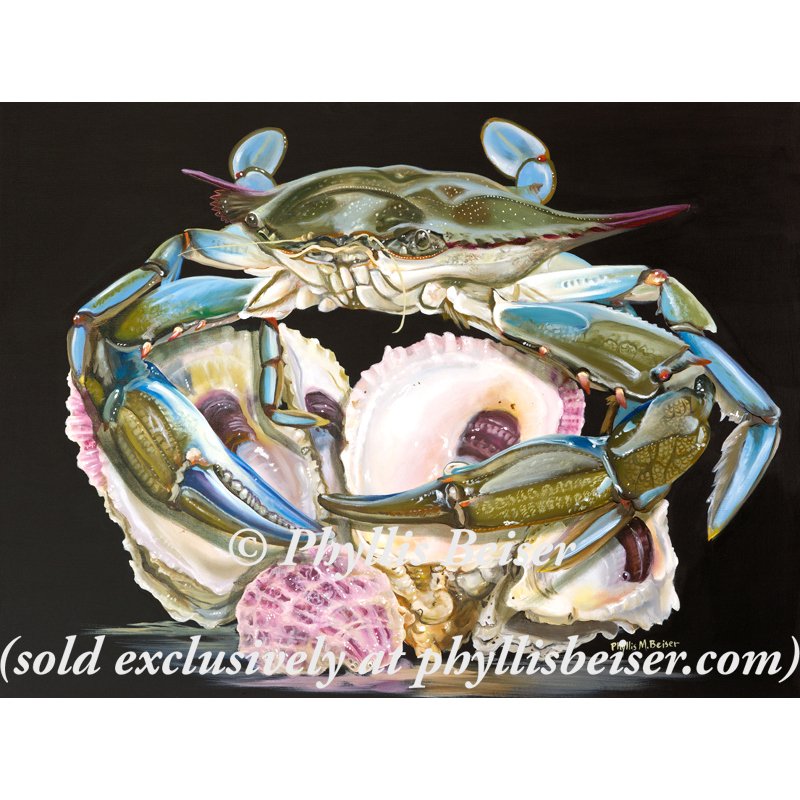 Shell Beach Still Life  (original) SOLD