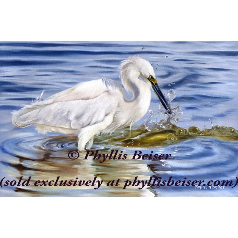 Egret And Shrimp