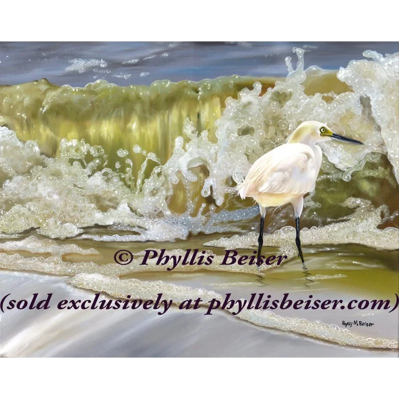 Sparkling Snowy Egret