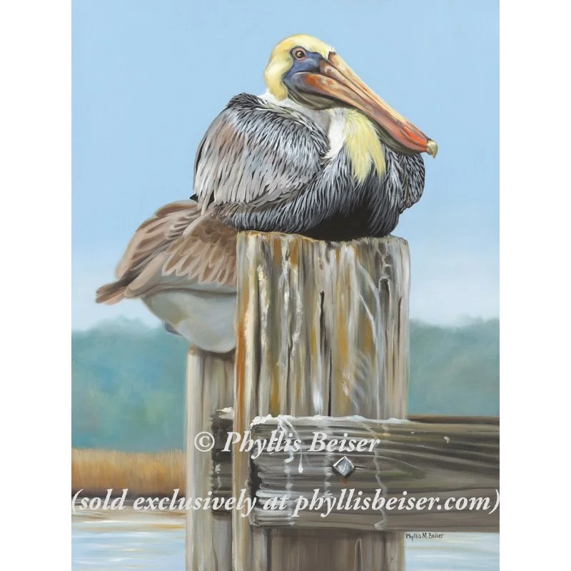 Mon Ami Beau ( Canvas Print)