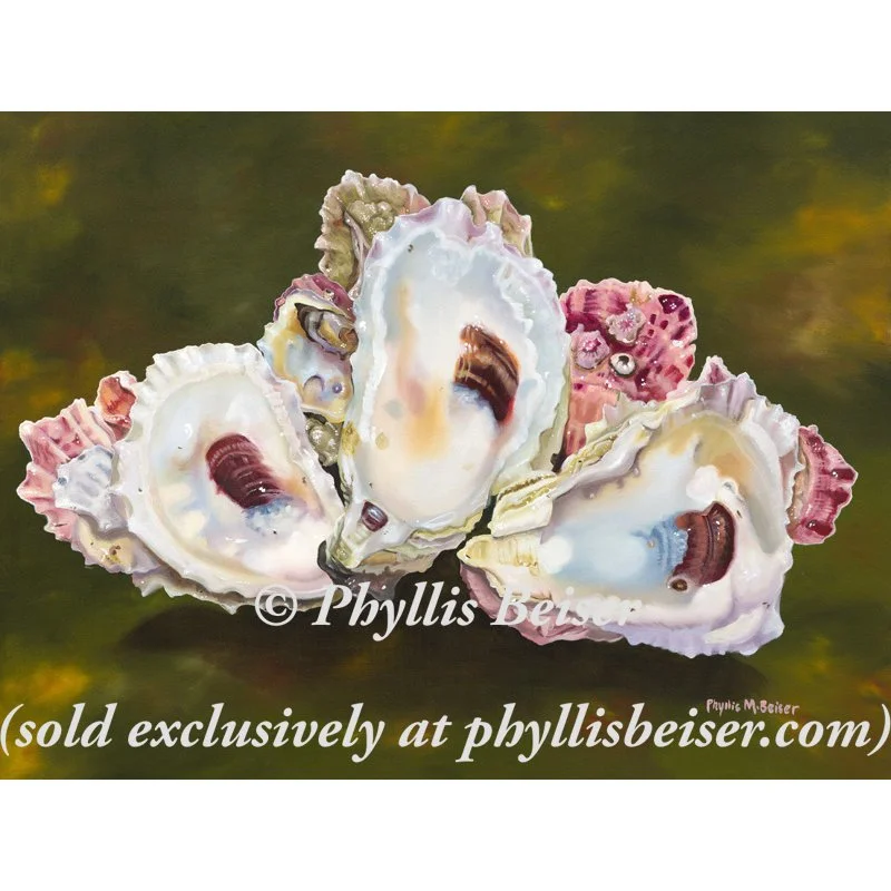 Beautiful Oyster Shells
