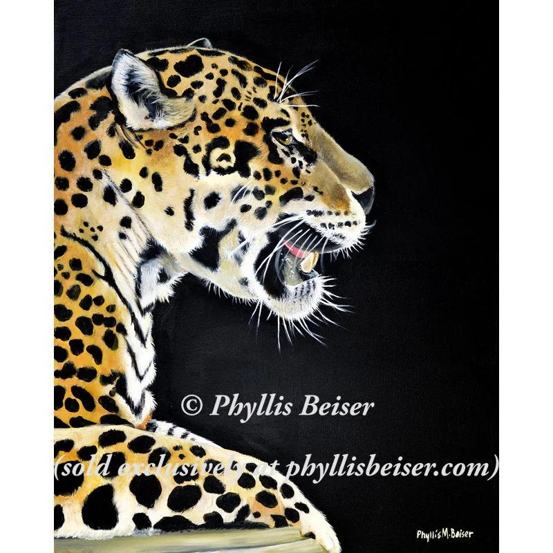 Leopard Call