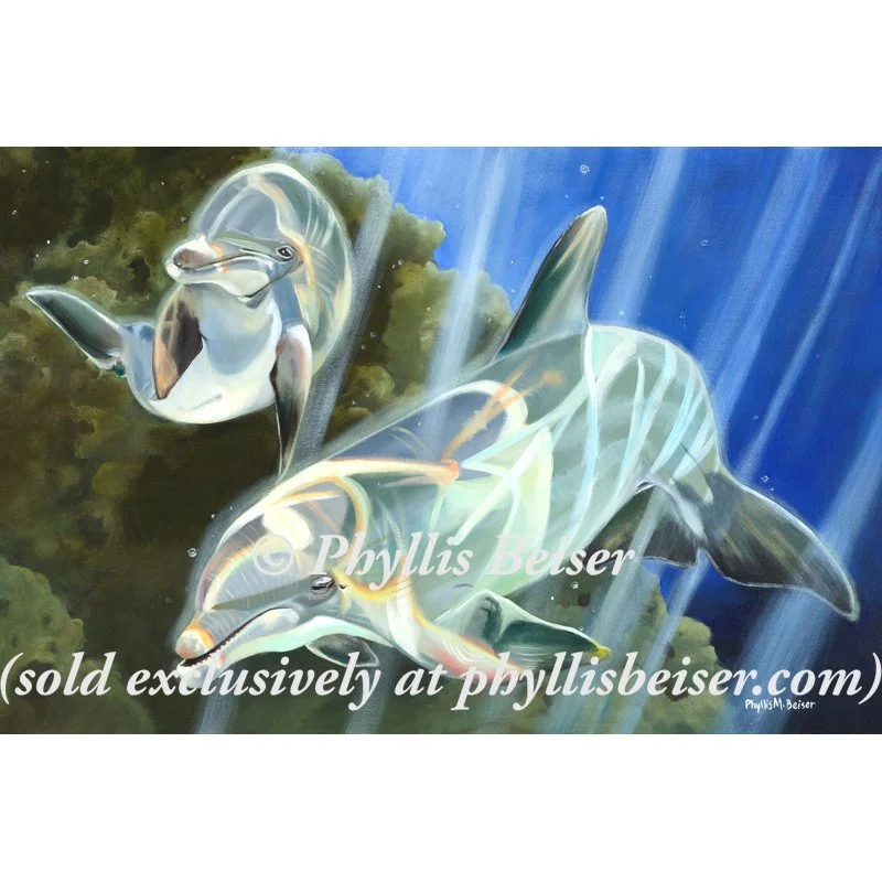 Cuthbert And Rainbow (CANVAS PRINT)