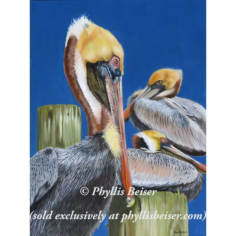 Narcissus  (CANVAS PRINT)