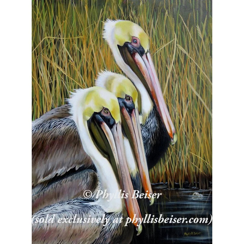 Three If By Bayou Bienvenue