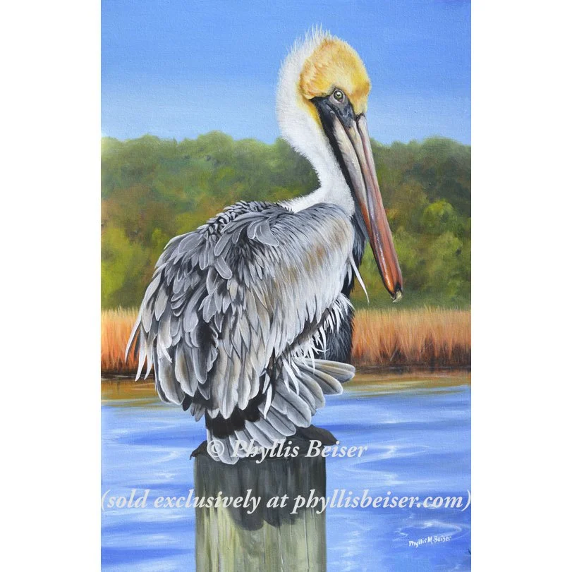 Shake A Tail Feather