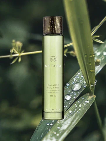 A green bottle of ATATA Balance Body Oil with a dark cap, placed among green leaves with water droplets.