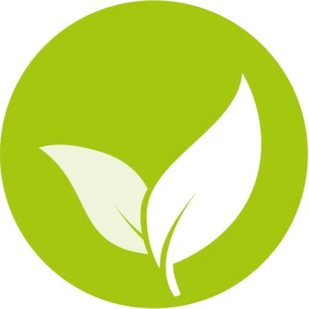 Mustard Tree Quiz