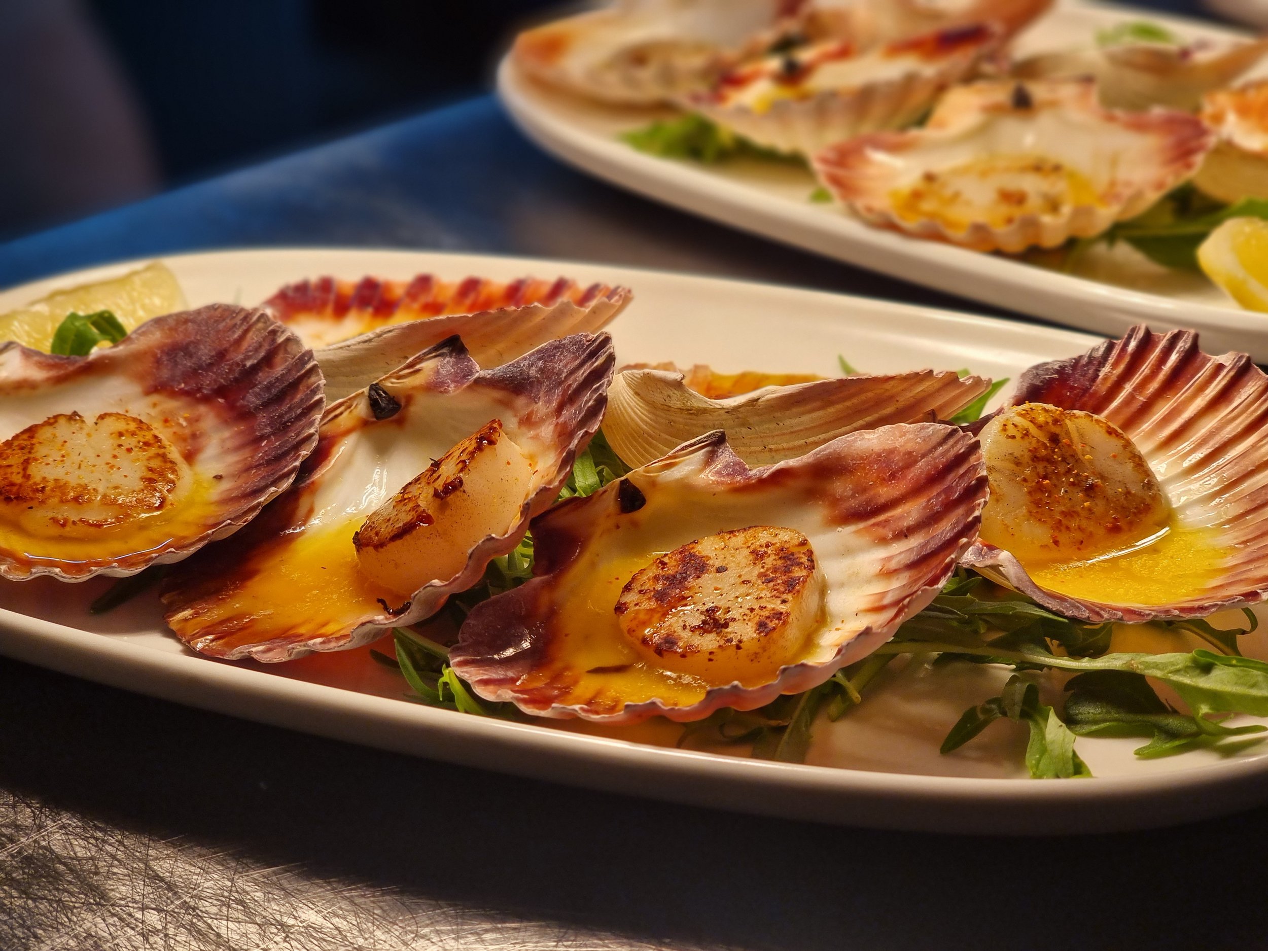 Close-up of baked scallops served in shells with seasoned butter, garnished with greens and lemon slices.