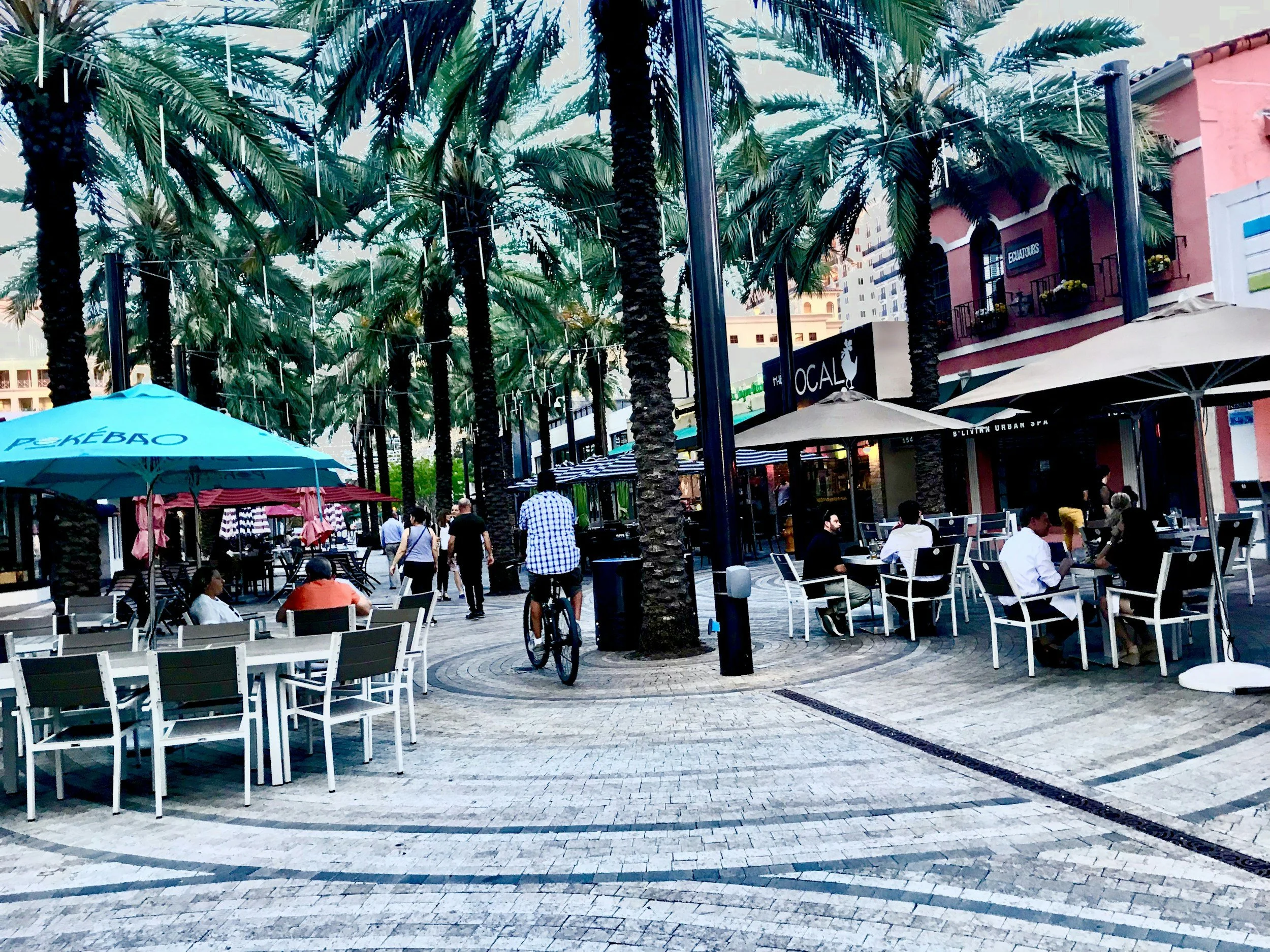 THE DOOR TO RENTING IN CORAL GABLES: WHAT EVERY LANDLORD NEEDS TO KNOW BEFORE LISTING