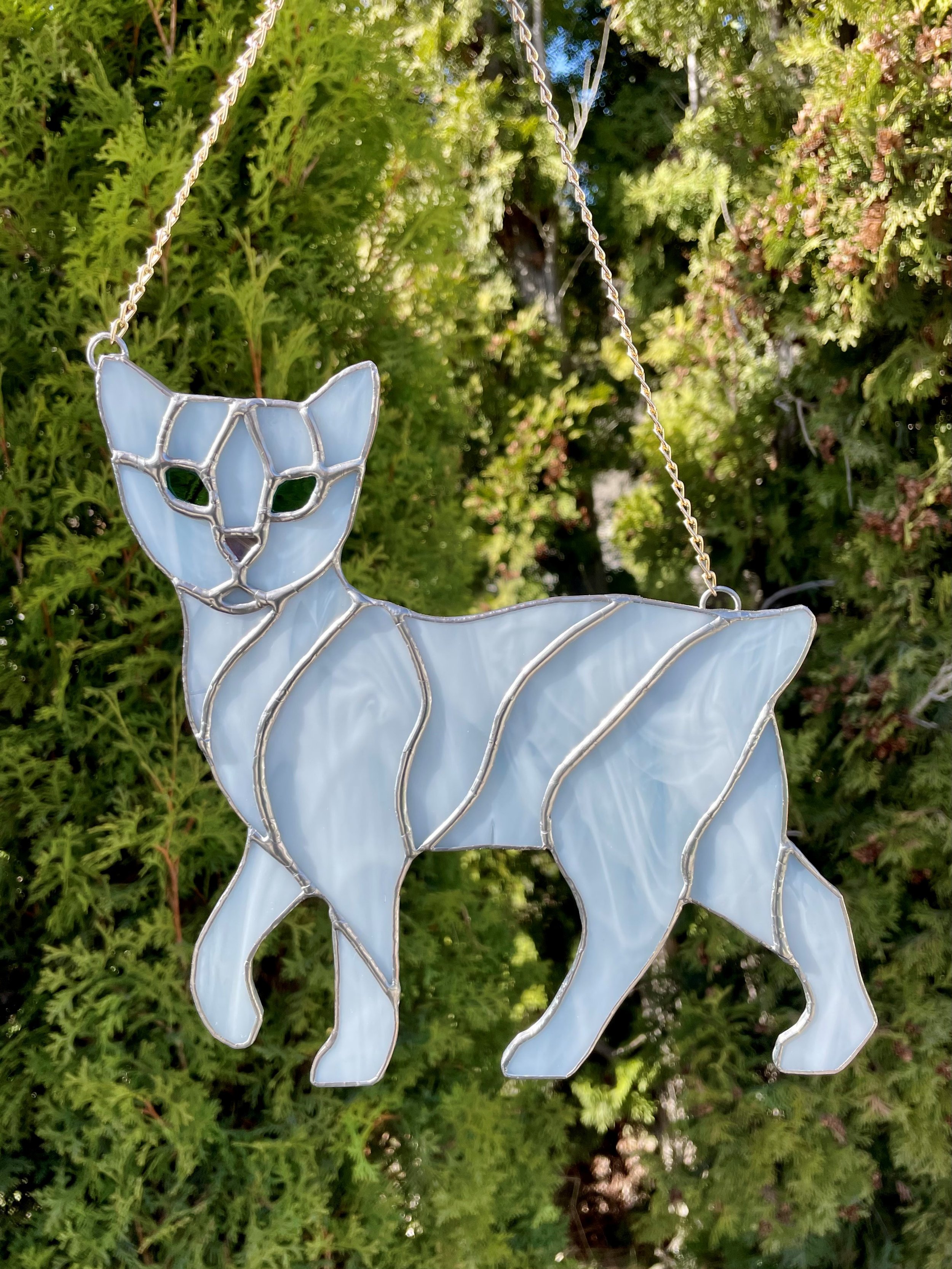 whitecat.jpg