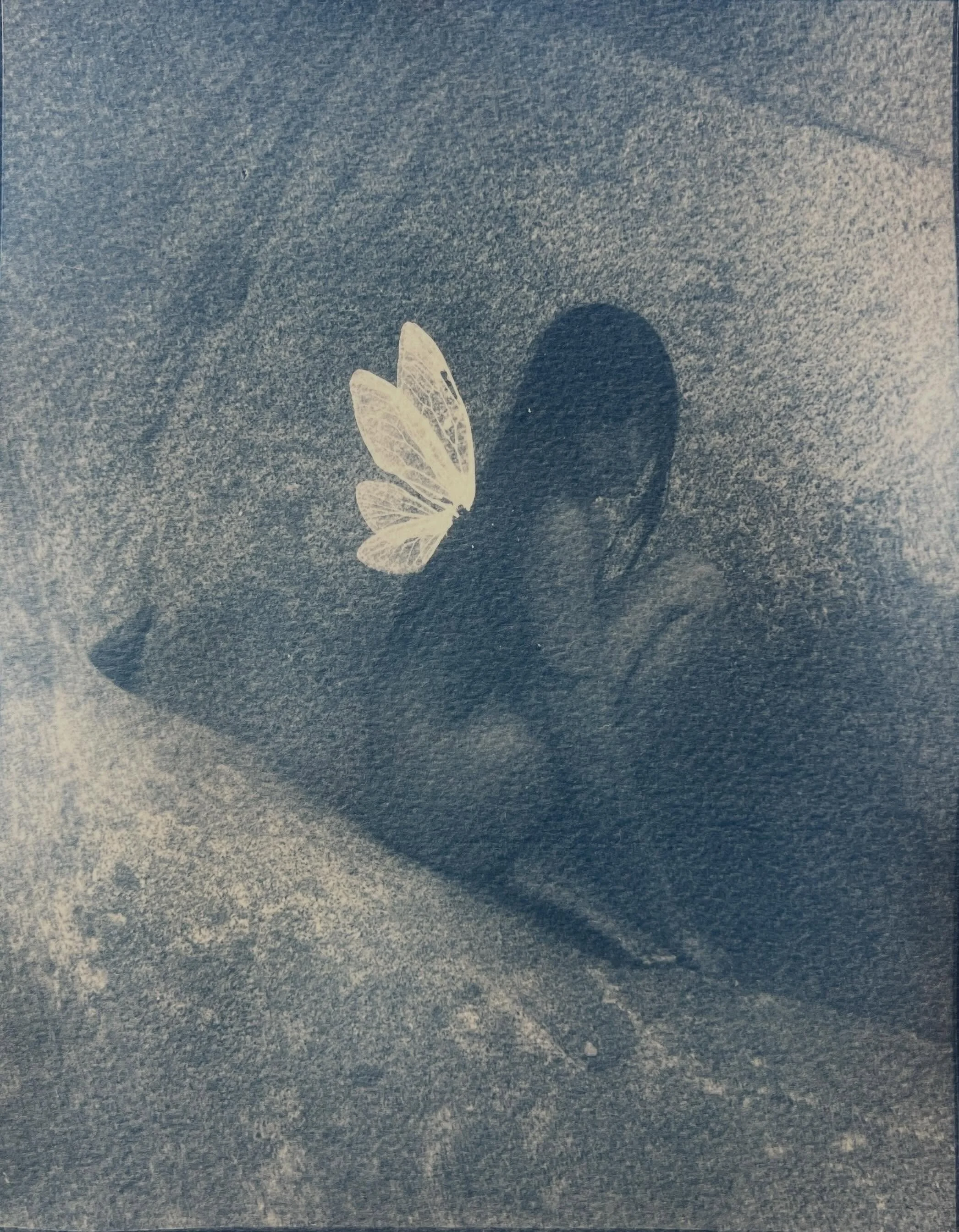 The Angel of Small Deaths 

Muse @light.flora in her fae form. Queen of Tiny Beings, Architect of Altars, Bug Girl through and through 🦋 
.
.
.
.
.
#cyanotype #mythicalart #mysticalart #etherealart #fairy
