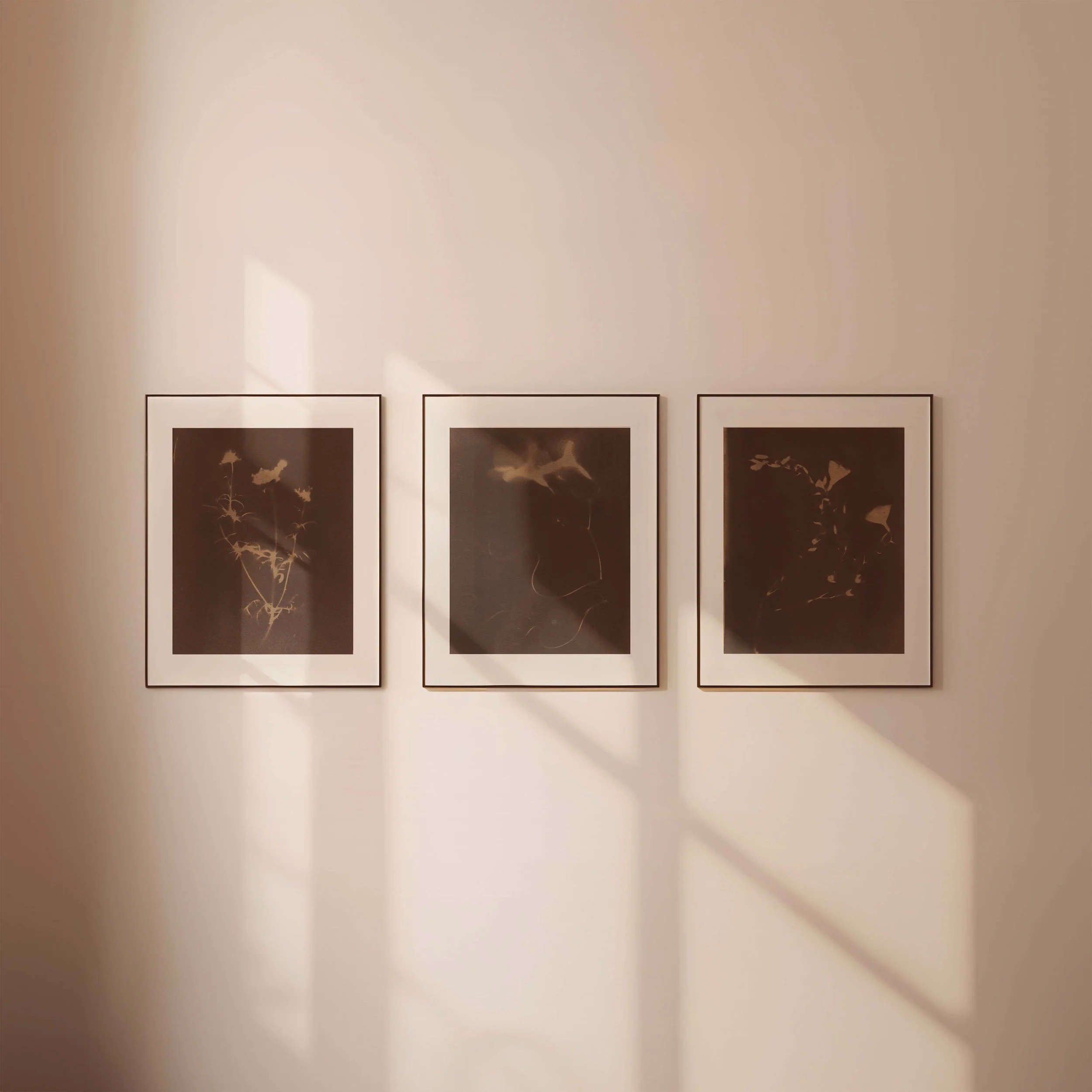 dark flowers.jpg