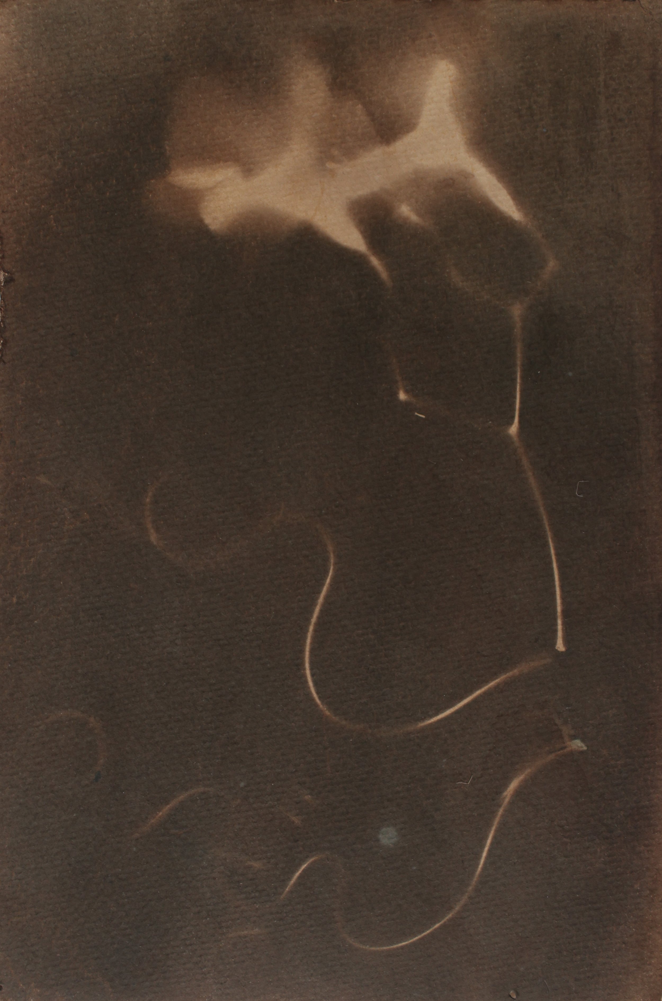 WS5_0486.jpg