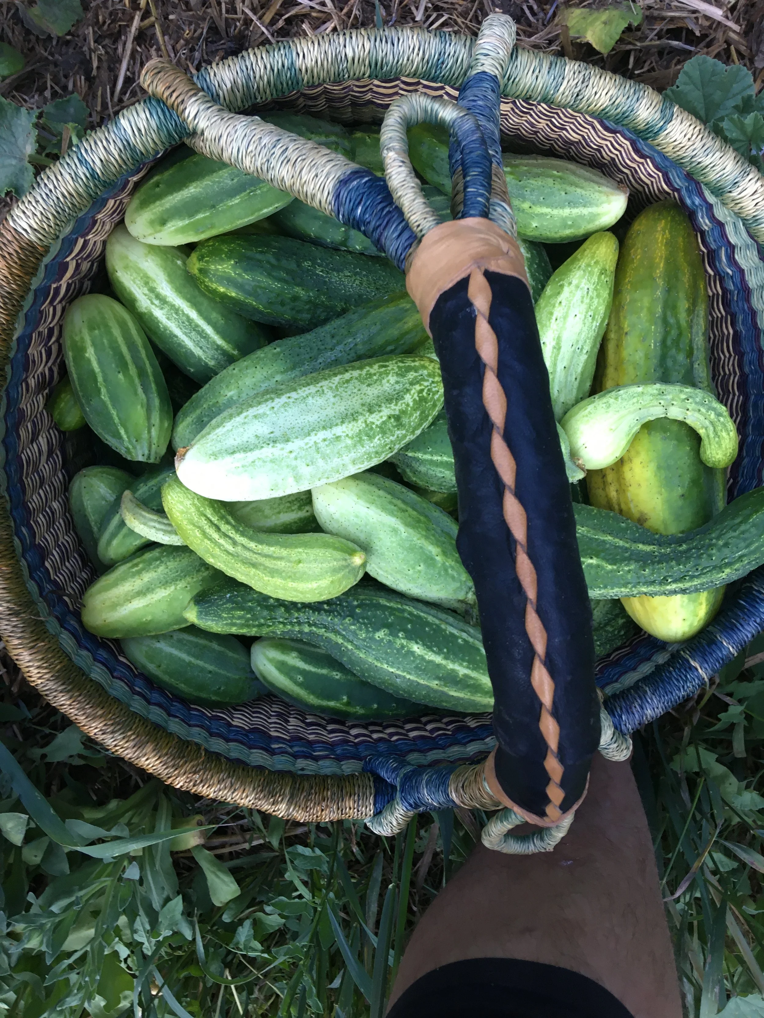 Cave Junction Farmers Market OPEN 