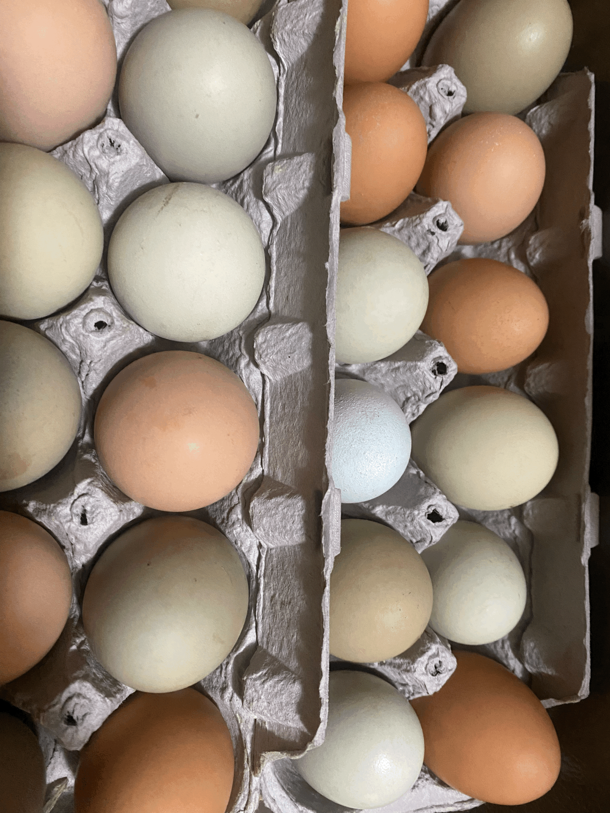 Cave Junction Farmers Market OPEN 