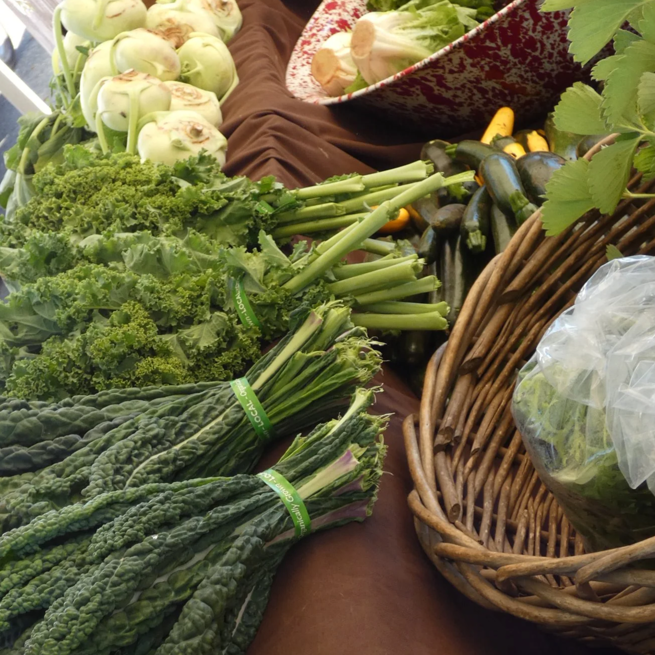 Cave Junction Farmers Market OPEN 