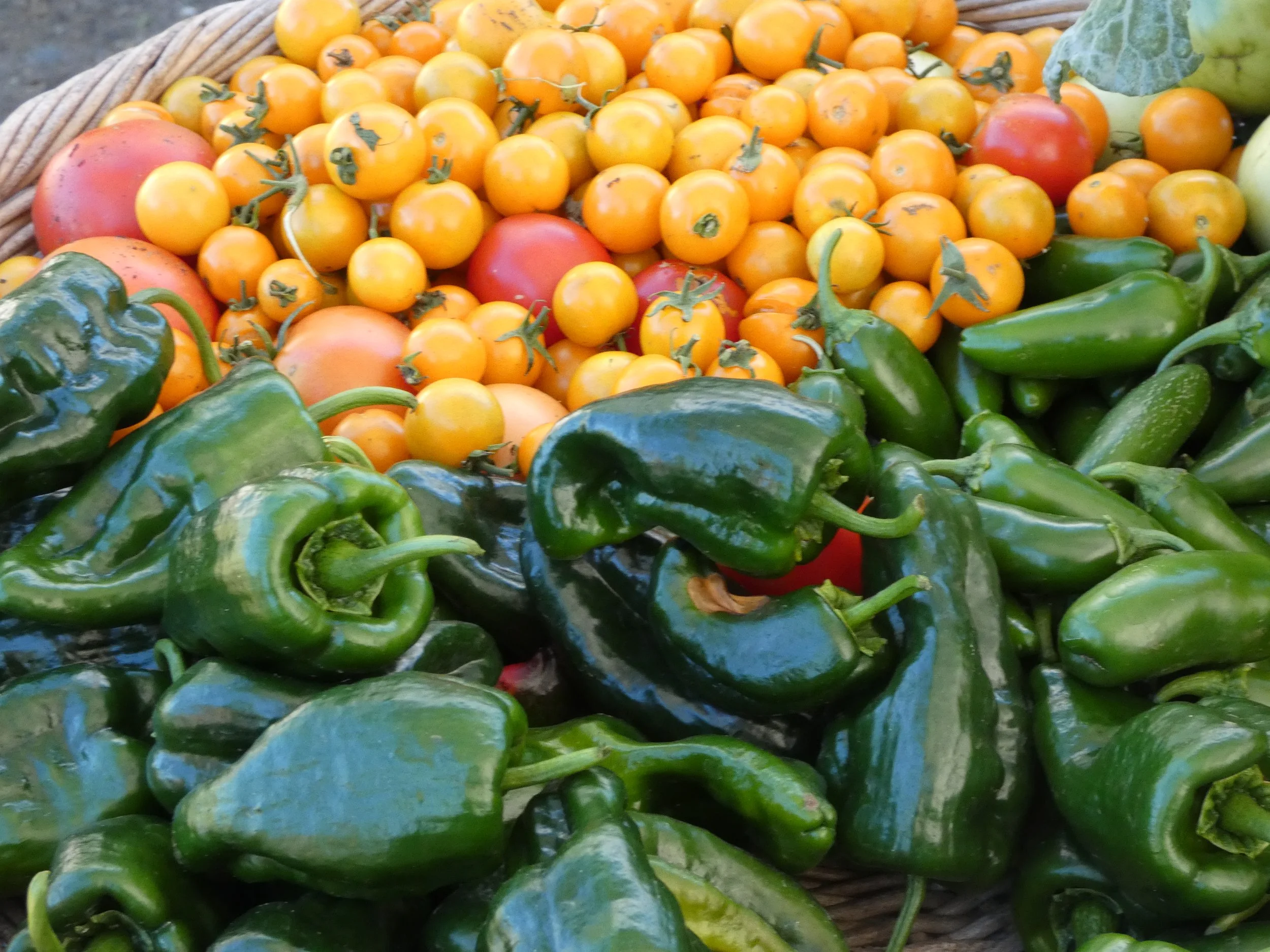 Cave Junction Farmers Market OPEN 