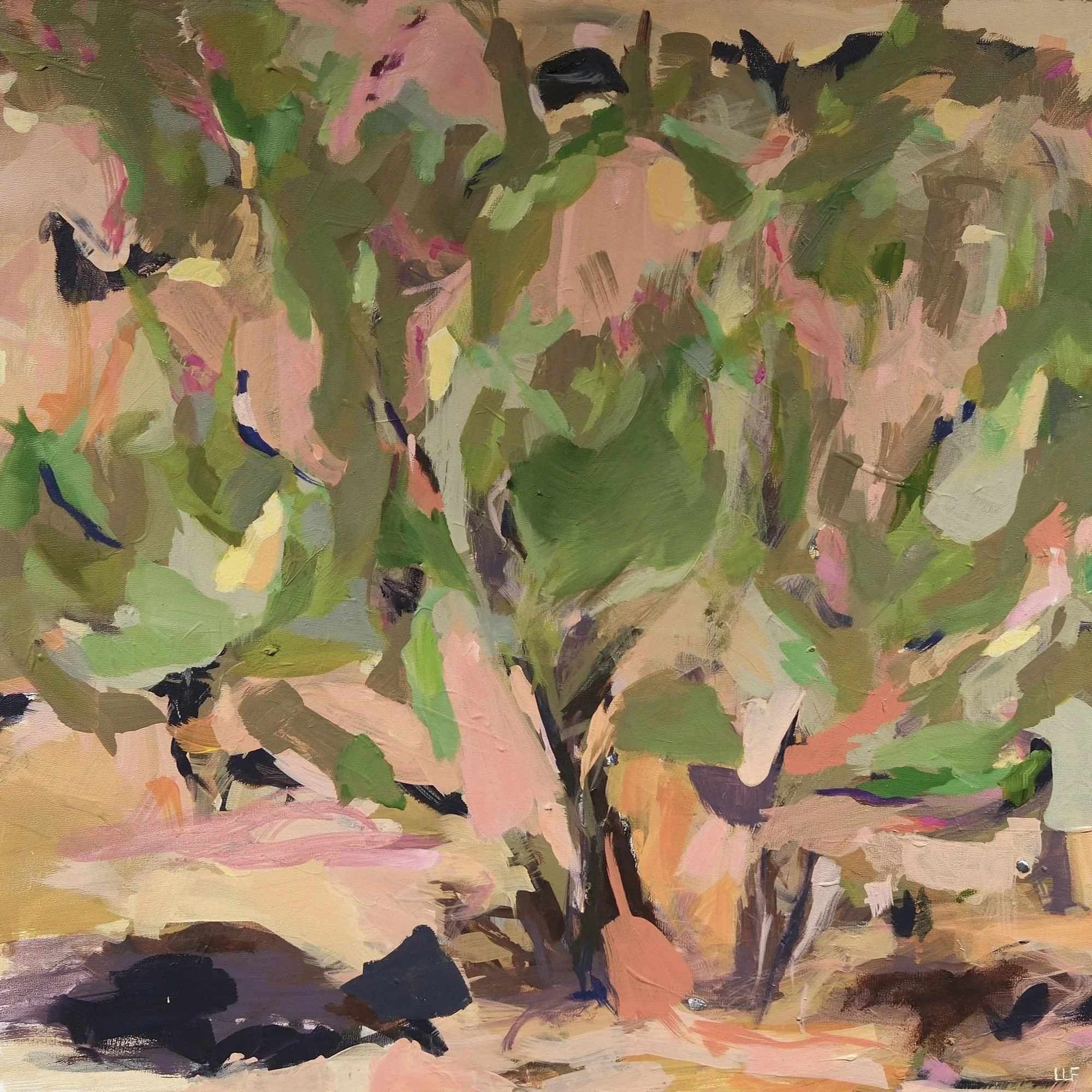 Salt Cedar 2 | 2025| 18 x 18" | Oil on wood panel 