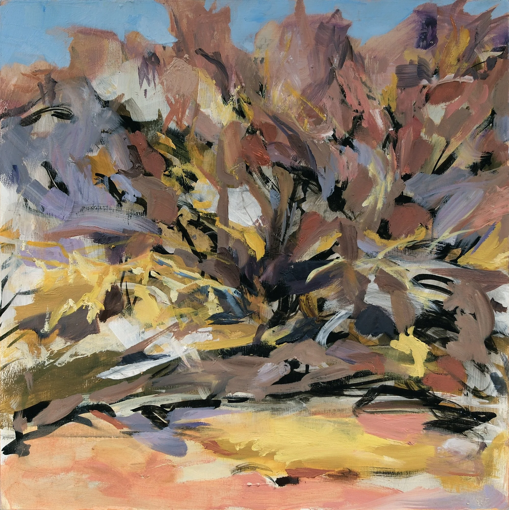 Winter Color | 2026 | 12 x 12"| Oil on wood panel 