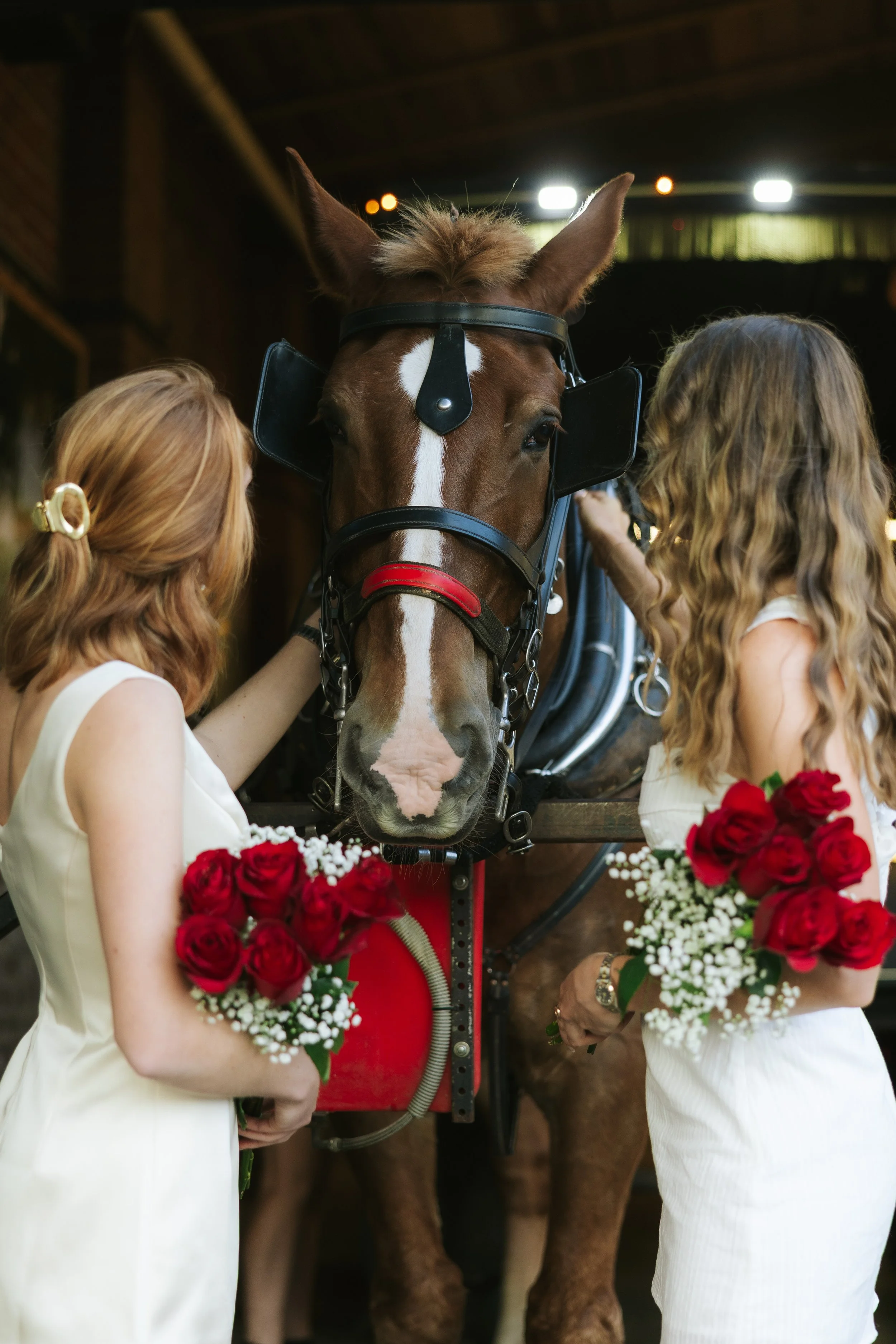 Adrian&Emily-220.jpg