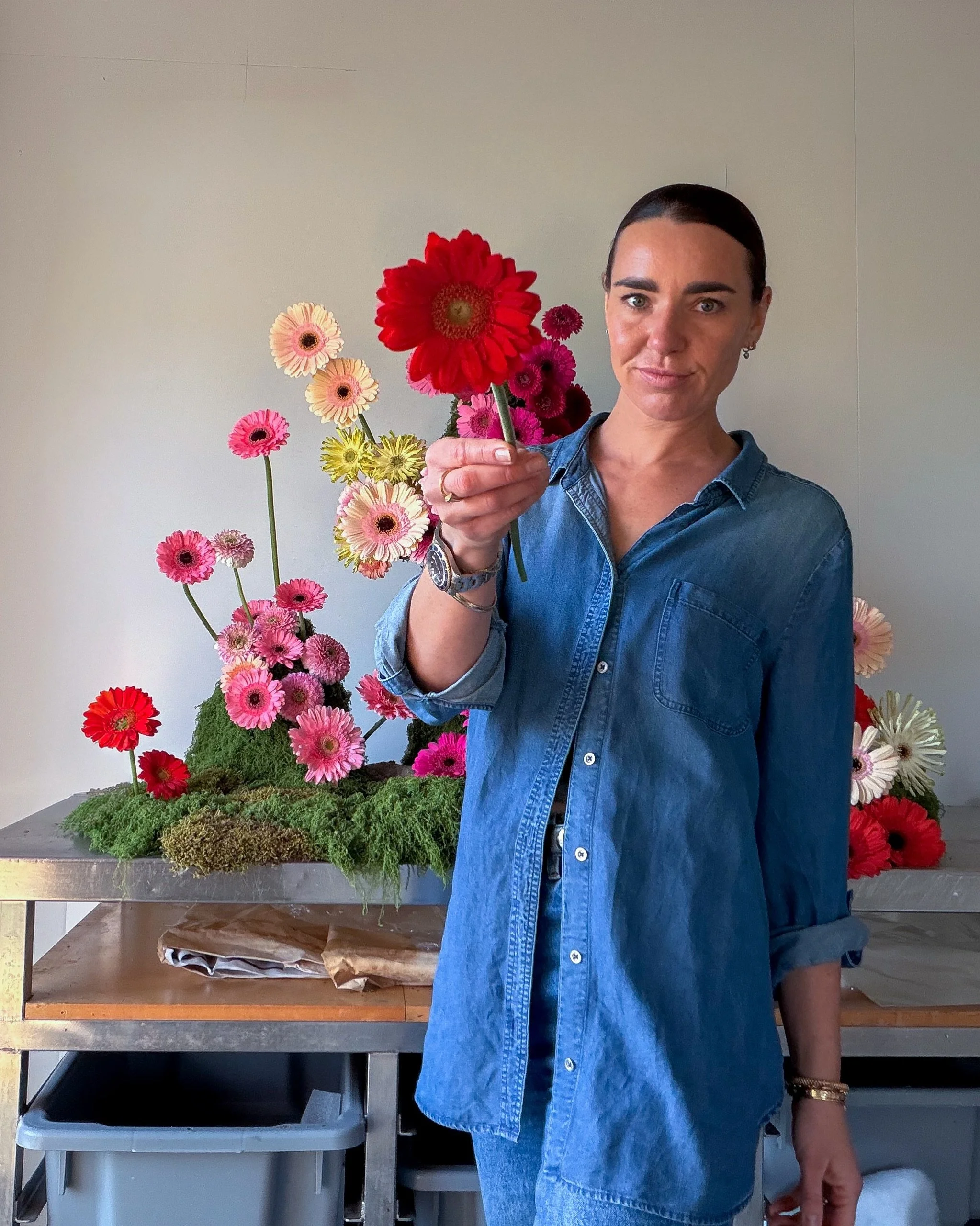 The Gerbera but make it cool 🌼