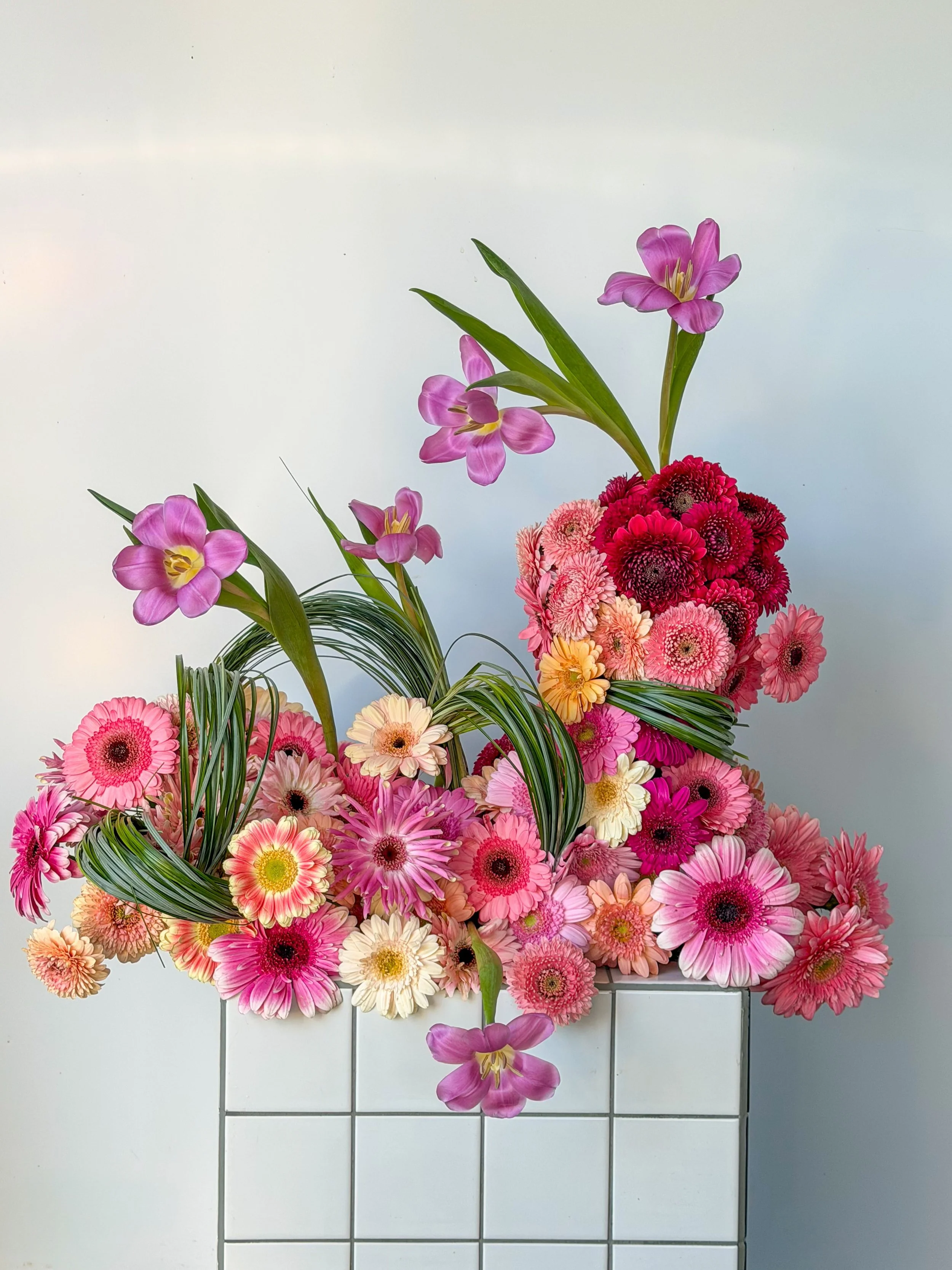 Promise this is the last of the Gerbera 🌸 

Taking flower requests ?