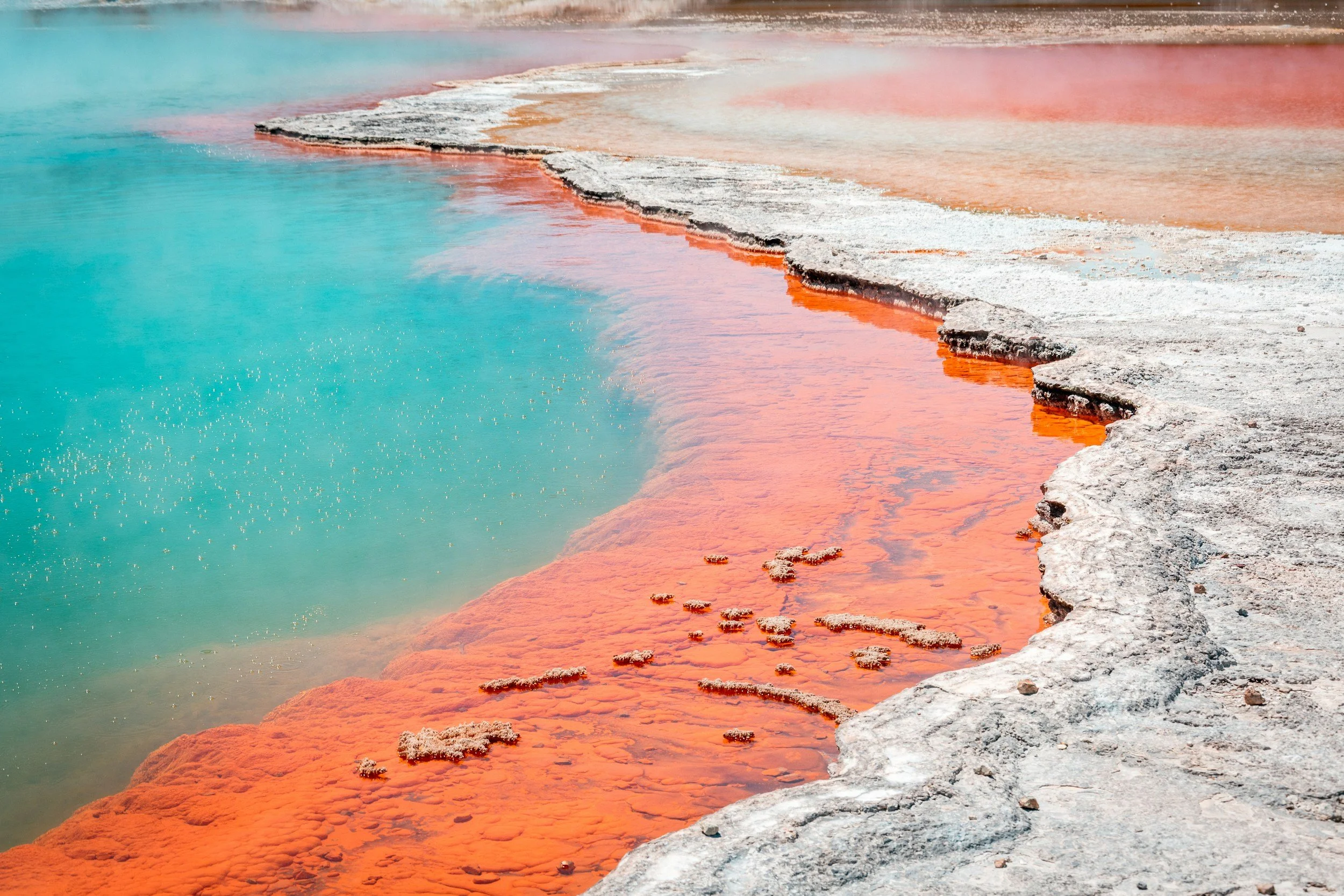 Natural Rotorua hot pools