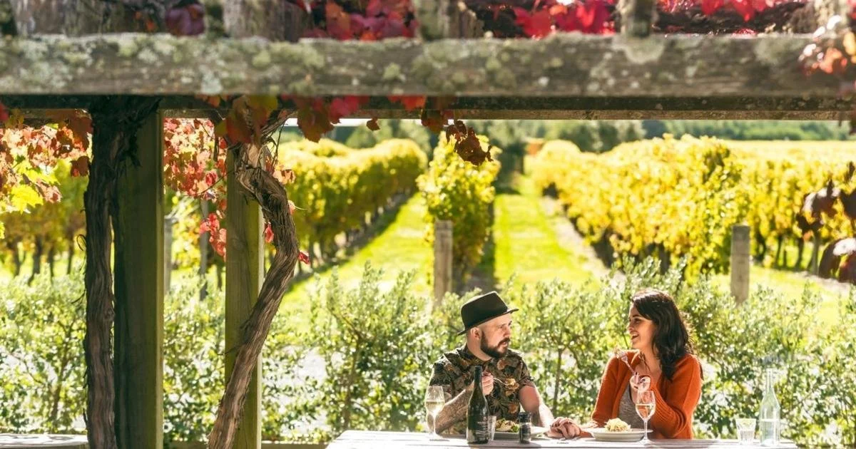 Marlborough scenic wine tour