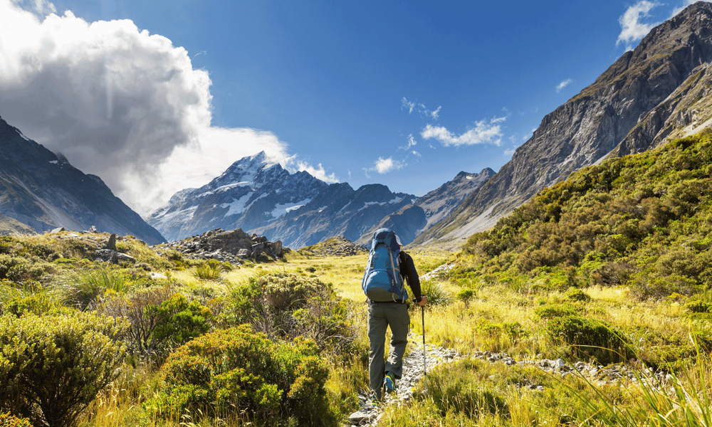 SelfDrive New Zealand Itineraries Custom Road Trip Packages — New Zealand Driving Holidays