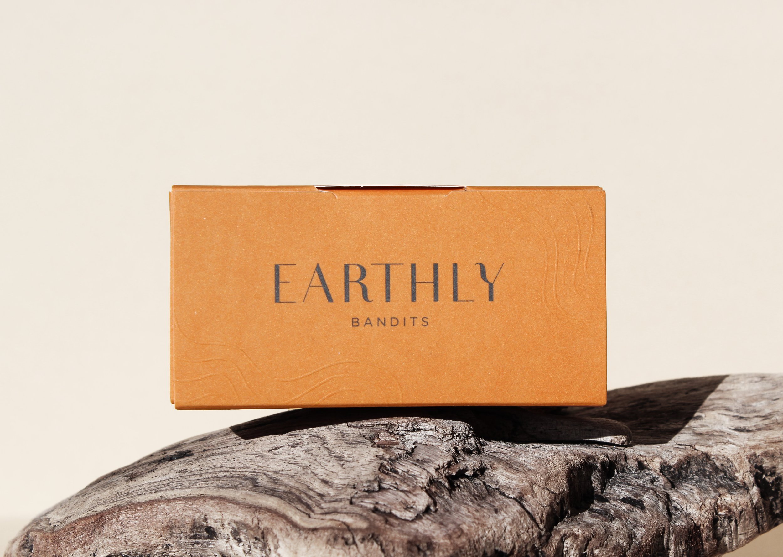 Earthly Bandits_8.jpg