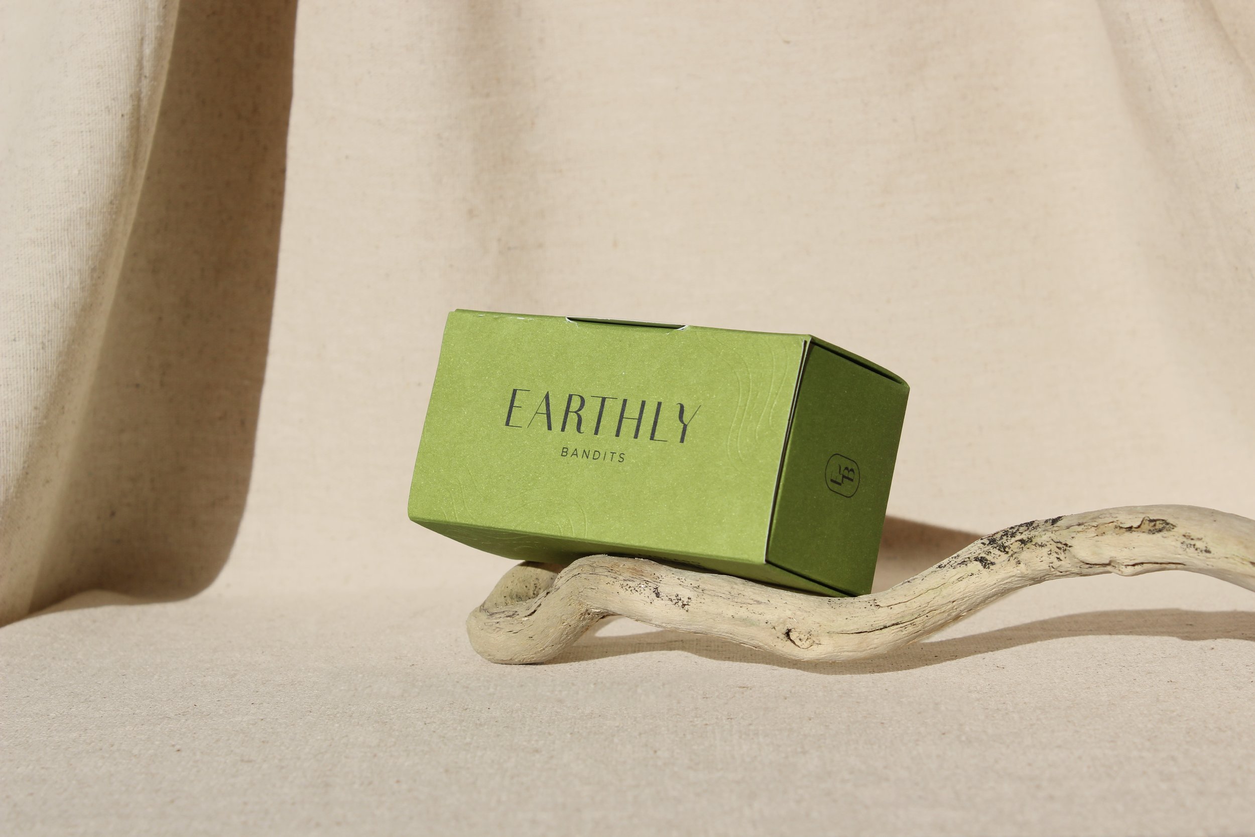 Earthly Bandits_12.jpg