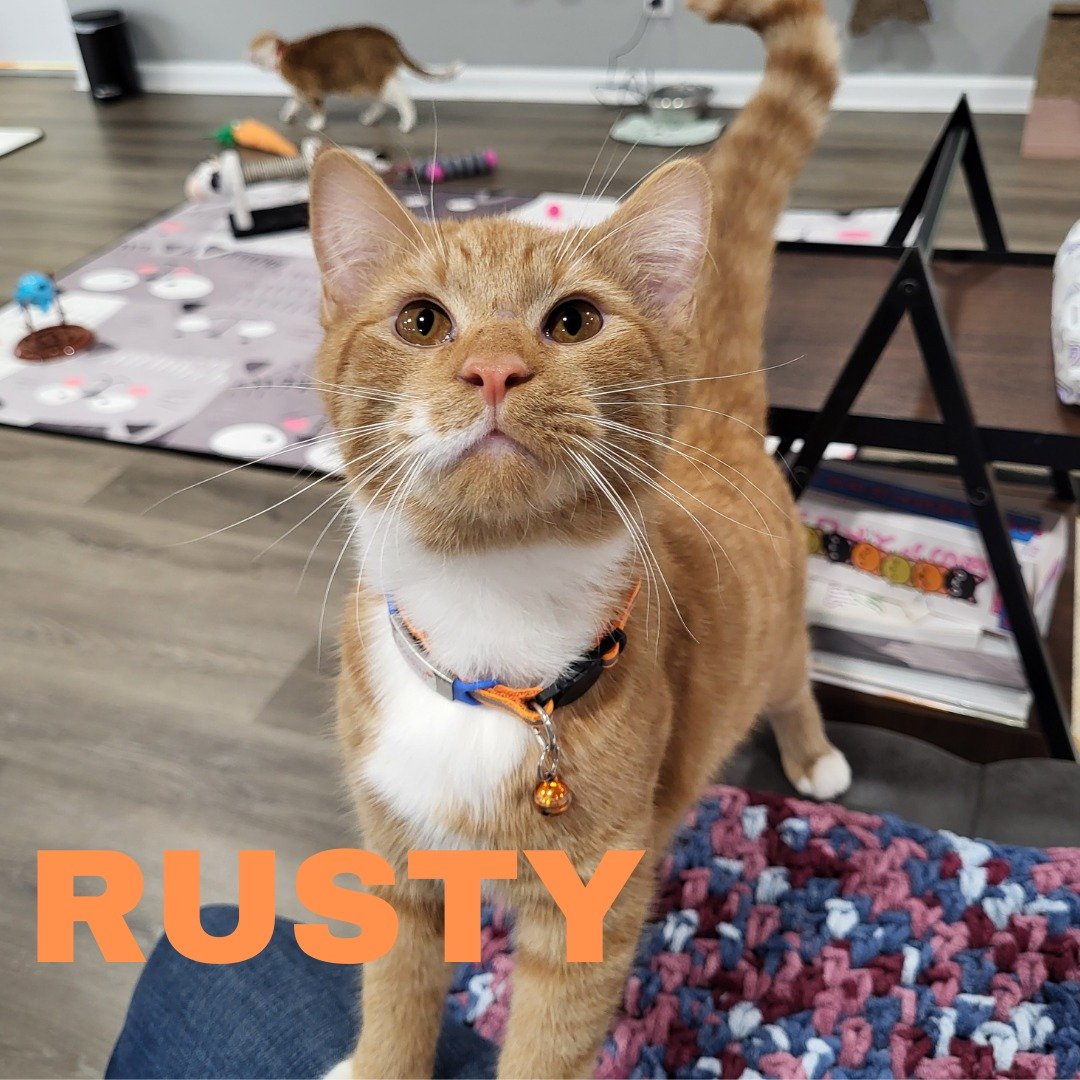#86 Rusty