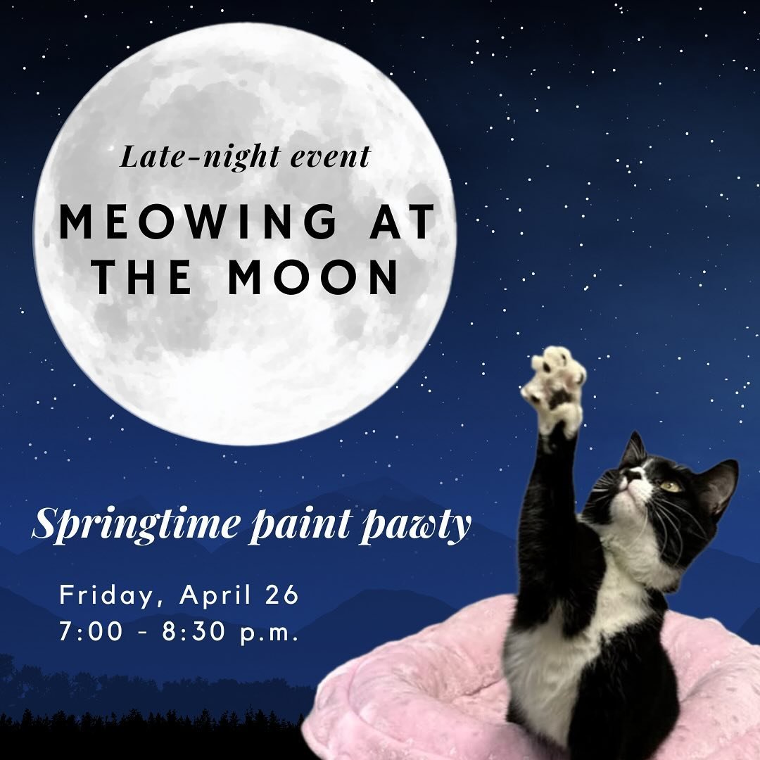 Reminder to join us for Meowing at the Moon, our monthly after-hours event 🌙 this Friday April 26 from 7pm-8:30pm for an evening with the cats and a Paint Pawty! 🎨

Everyone will get to create a custom spring kitty portrait in our cat room 🌸 Swipe