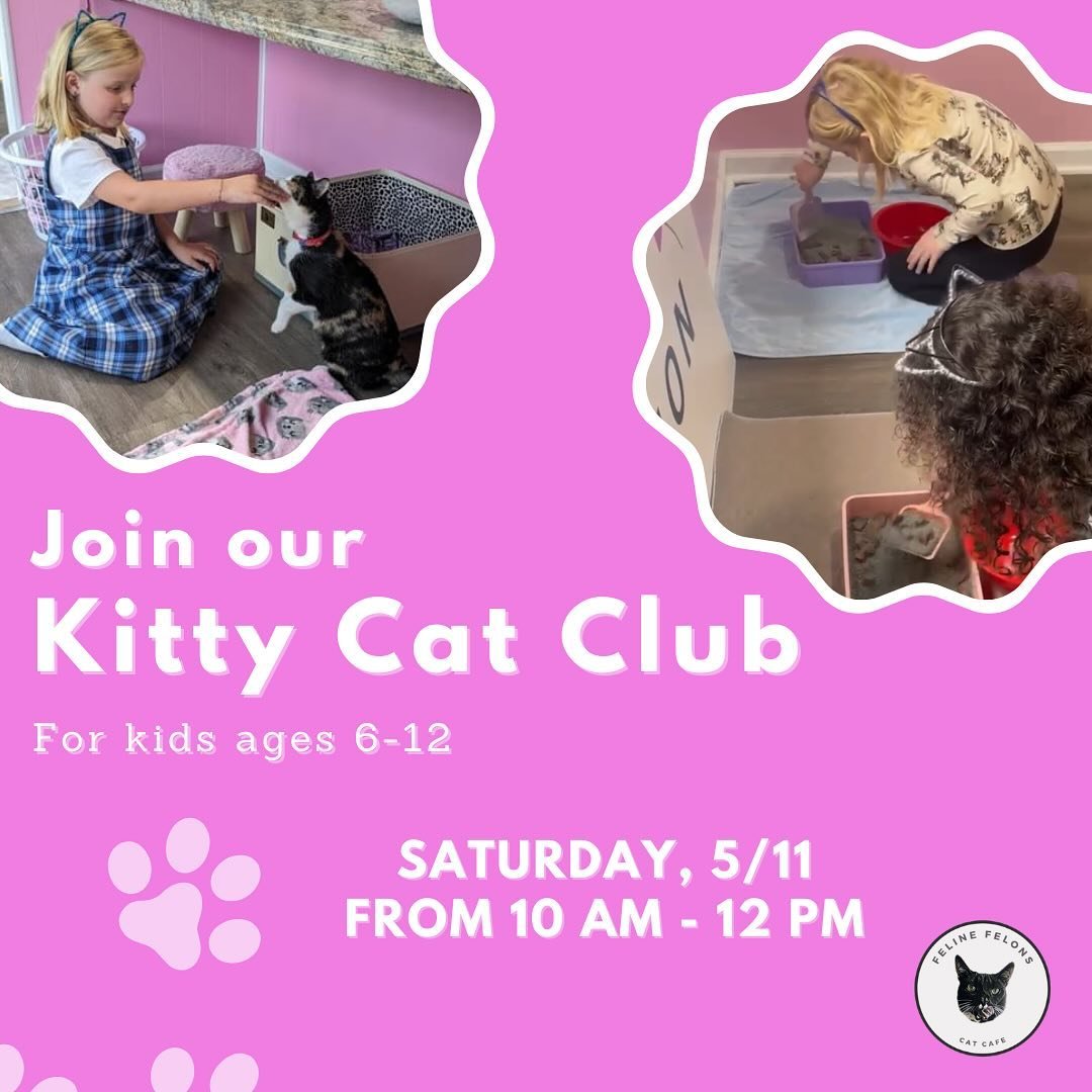 Do your kids love cats? Would they enjoy learning all about cats, making cat crafts and toys and of course meeting a few of them? 🐈 

Join the Kitty Cat Club and meet with fellow cat lovers once a month! 🐾 Each monthly meeting fee is $10 and includ