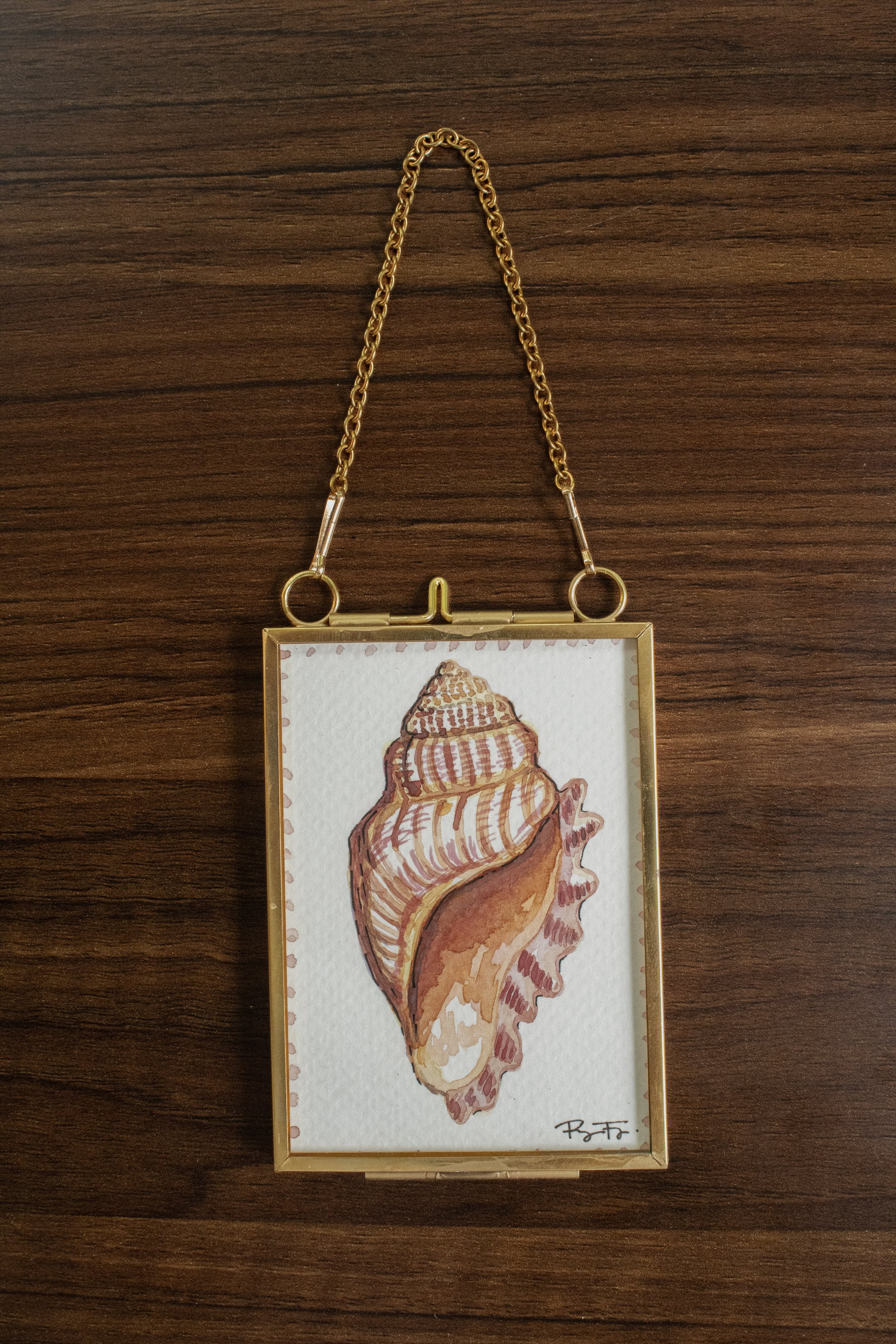 Conch Watercolor